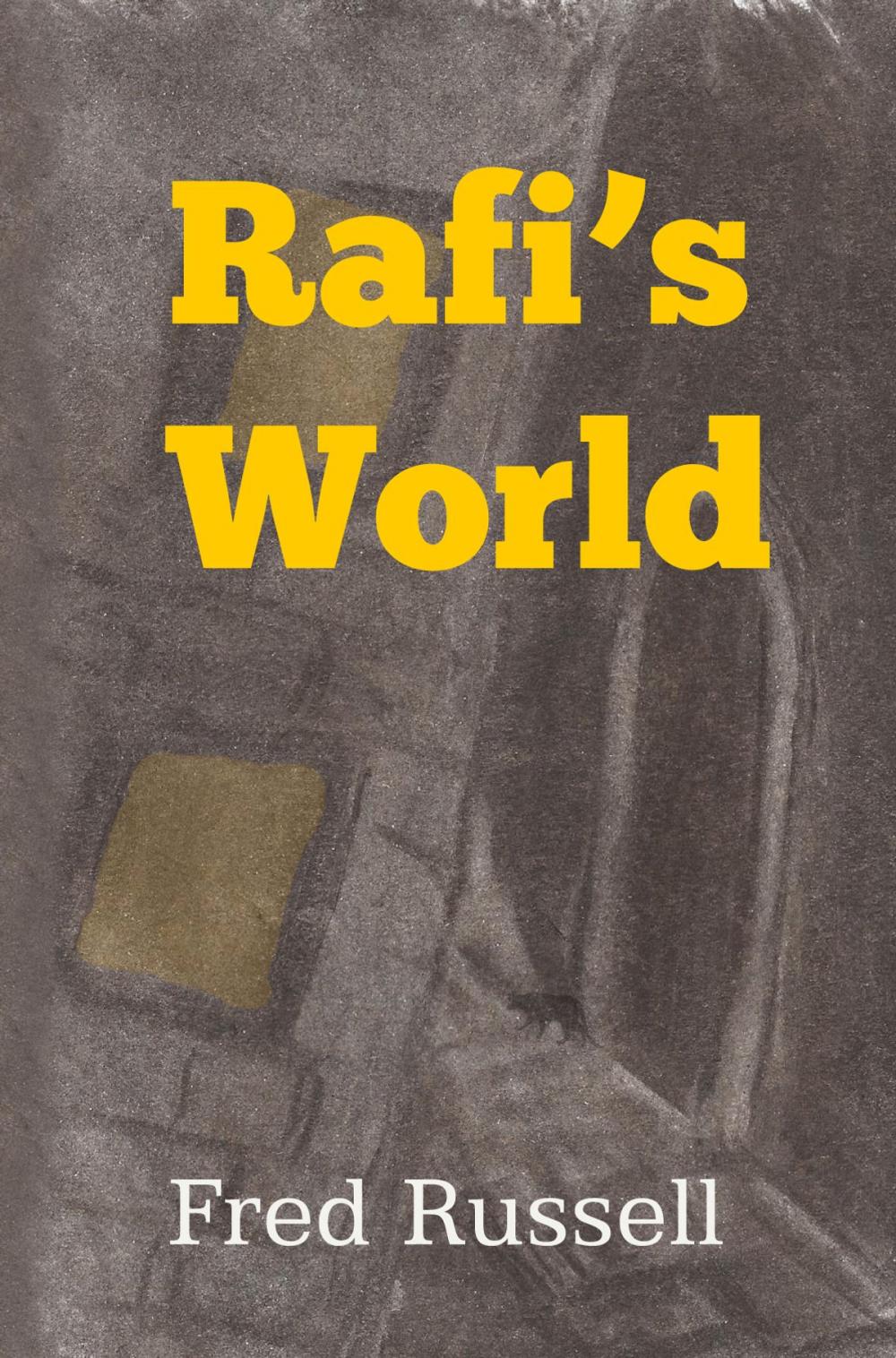 Big bigCover of Rafi's World