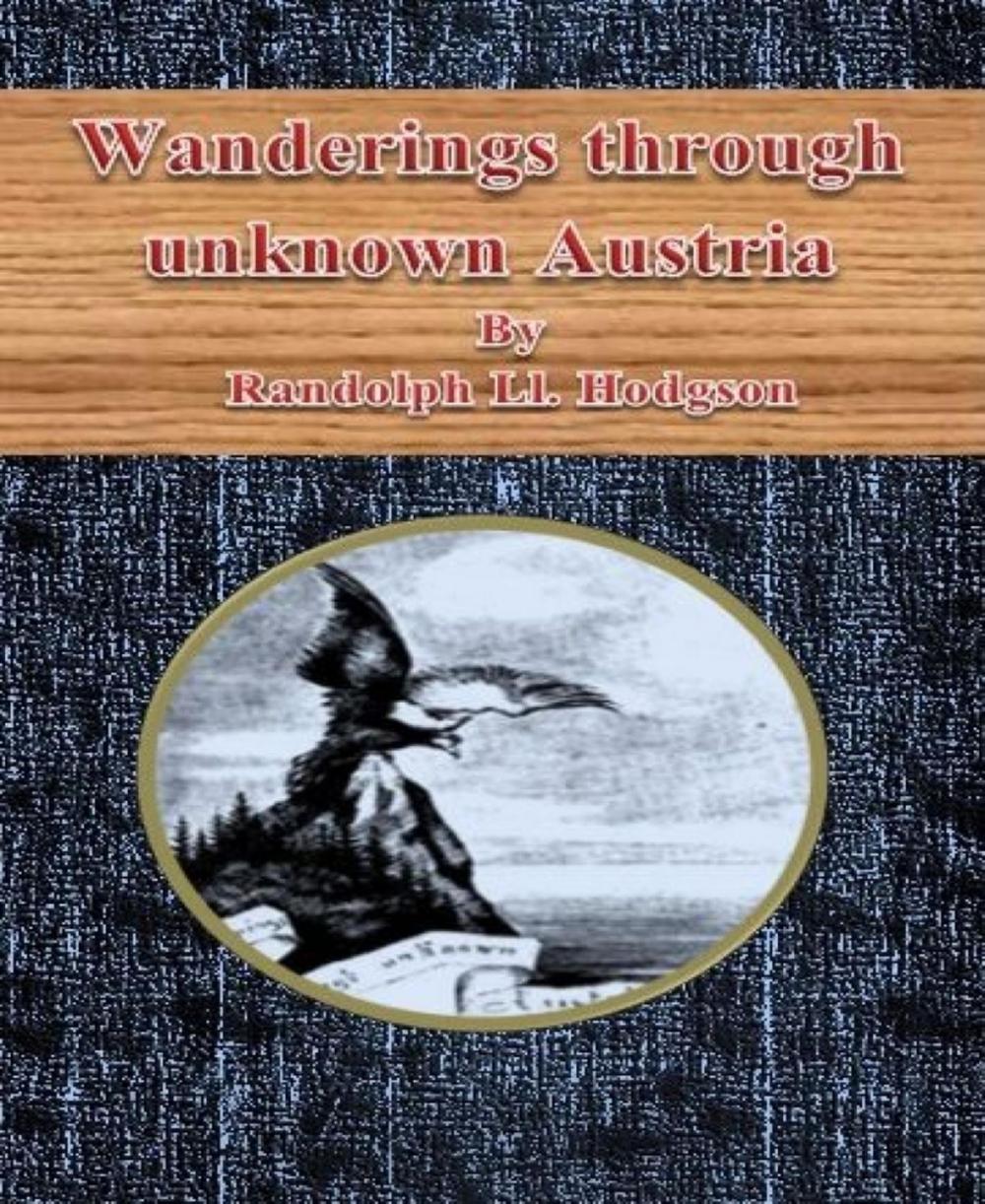 Big bigCover of Wanderings through unknown Austria