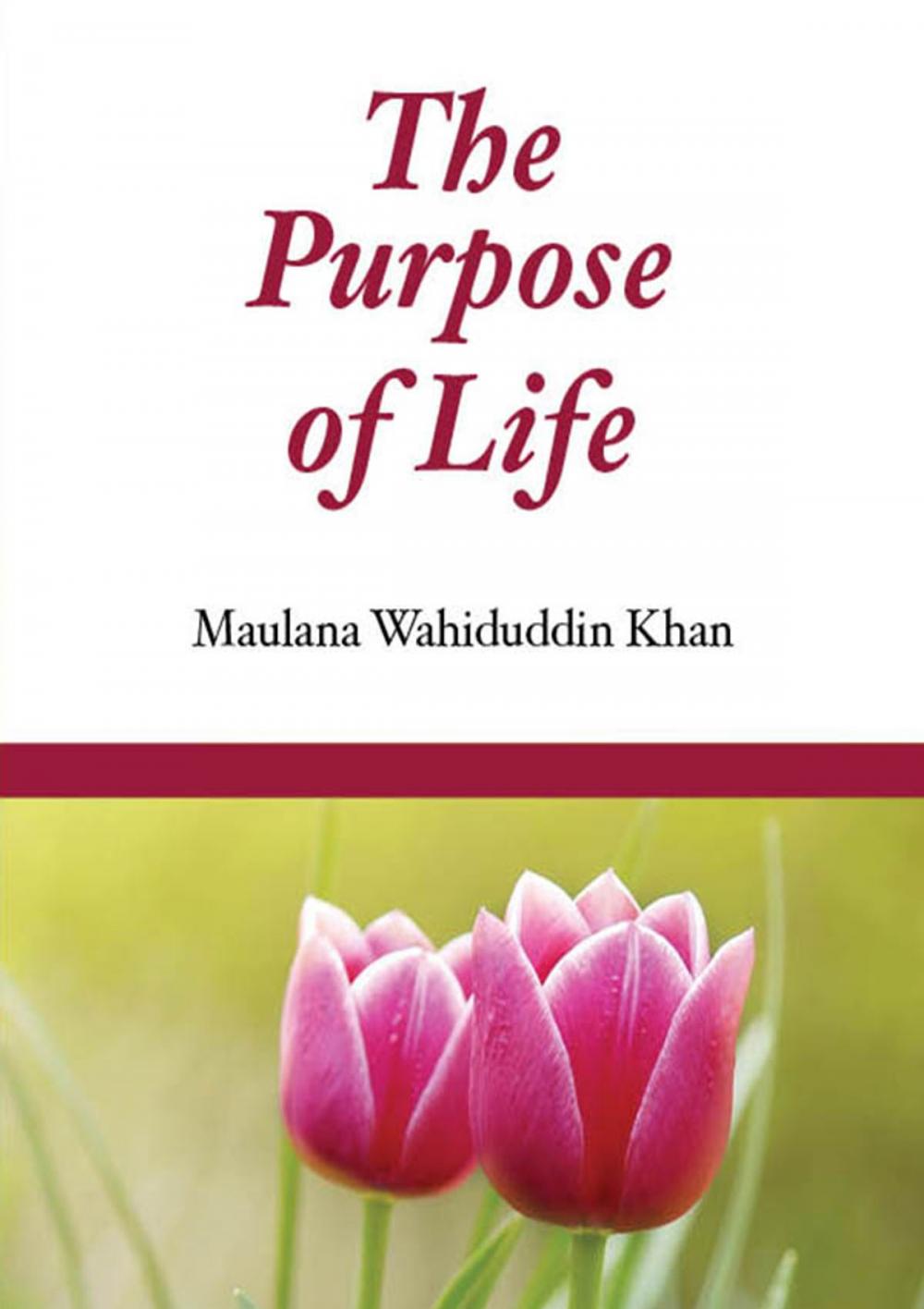 Big bigCover of The Purpose of Life