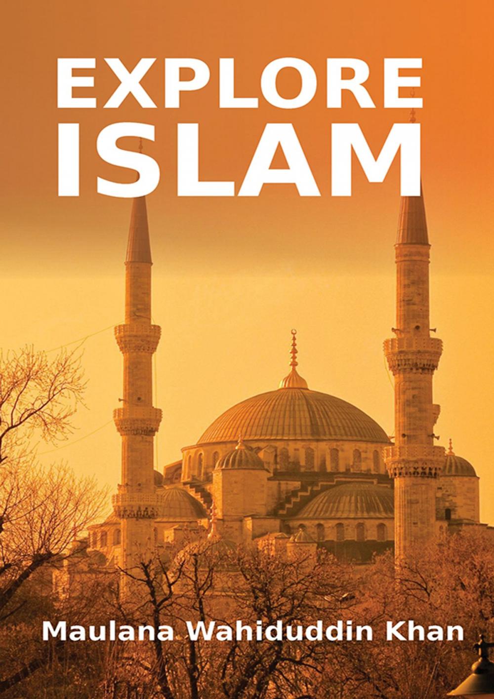 Big bigCover of Explore Islam