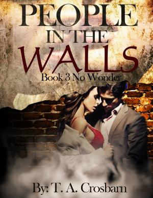 Cover of the book People in the Walls (Book 3 No Wonder) by Ryan Jennings Peterson