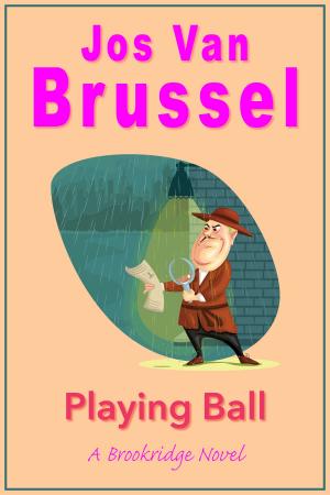 Cover of the book Playing Ball by Pierce du Buisson