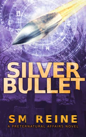 Cover of the book Silver Bullet by Sue Ann Jaffarian