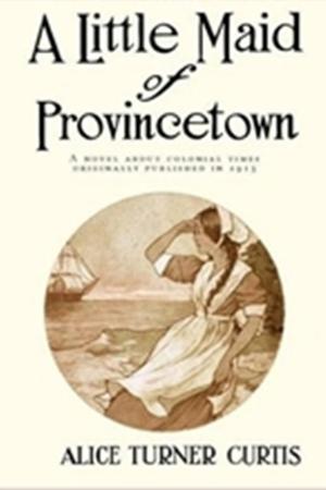 Cover of the book A Little Maid of Province Town by Homer Greene