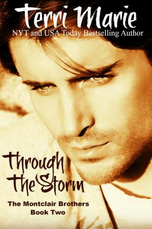 Cover of Through the Storm, The Montclair Brothers, Book 2