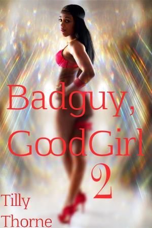 Book cover of BadGuy, GoodGirl 2