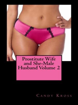 Cover of the book Prostitute Wife and She-Male Husband Volume 2 by Vince Stead