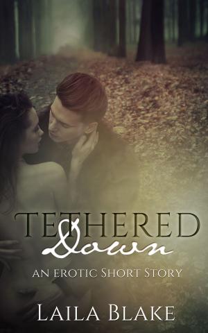 Cover of the book Tethered Down by R. D.  Blake