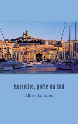 Cover of the book Marseille, porte du Sud by Alfred Delvau