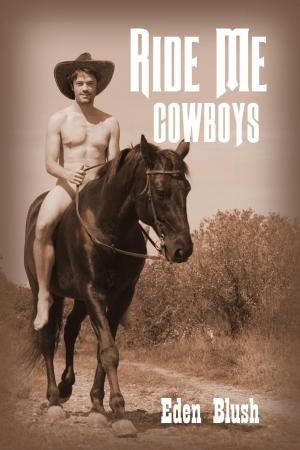 Cover of the book Ride Me Cowboys by Stephanie Bennett