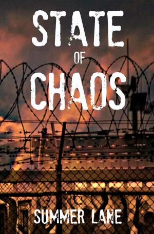 Cover of the book State of Chaos by Joe Vercillo