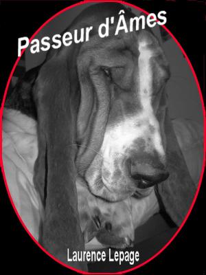 Cover of the book Passeur d'Âmes by John  Gerard Sapodilla