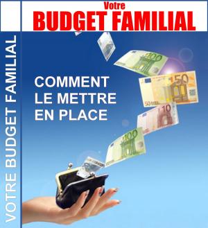 Cover of the book Budget Familial Comment le mettre en place by Gaël Hamel