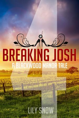 Cover of the book Breaking Josh 4 by Bridget Taylor