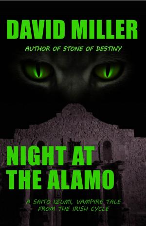Cover of the book Night at the Alamo by Lizzy Grimm, Lucy Grimm