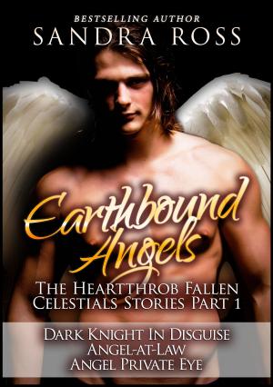 Book cover of Earthbound Angels Part 1: The Heartthrob Fallen Celestial Stories Collection