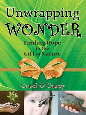 Cover of the book Unwrapping Wonder by Rachel Walmsley & Rick Armstrong
