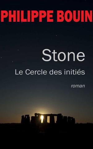 Cover of the book Stone by Robert Morcet