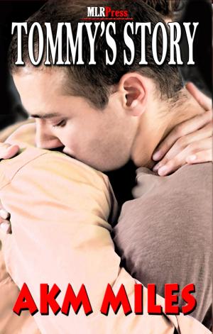 Cover of the book Tommy's Story by Shawn Bailey
