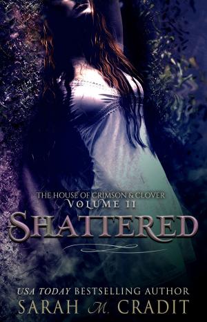 Cover of the book Shattered by Megan Michelau