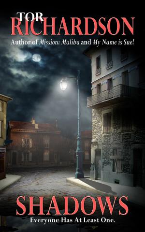 Cover of the book Shadows by L.A. Jones