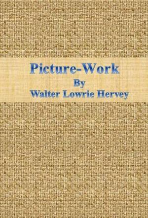 Cover of the book Picture-Work by T. J. Flanagan