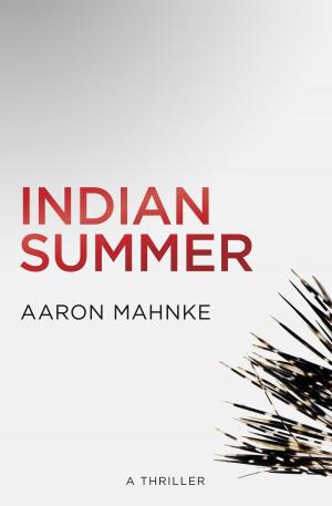 Cover of the book Indian Summer by Trish Loye