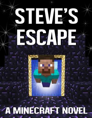 Book cover of Steve's Escape