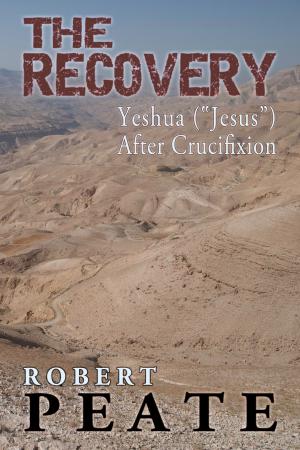 Book cover of The Recovery