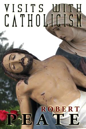 Book cover of Visits With Catholicism
