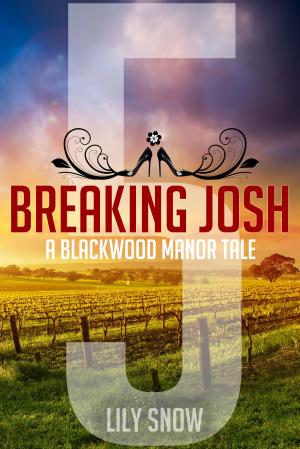 Book cover of Breaking Josh 5