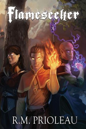 Cover of the book Flameseeker by H. Jonas Rhynedahll