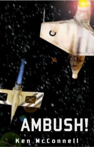 Cover of the book Ambush! by Judy Carroll