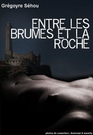 Cover of the book Entre les brumes et la roche by Countess Maxine