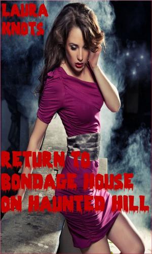 Book cover of Return to Bondage House on Haunted Hill
