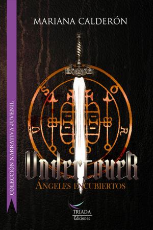 Cover of the book Undercover by Melisse Aires