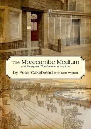 Cover of the book The Morecambe Medium by Carolyn Wells, Damian Stevenson