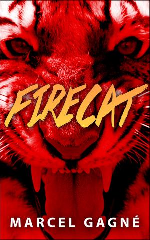 Book cover of FIRECAT