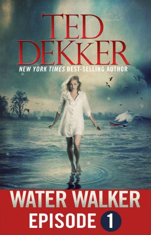 Cover of the book Water Walker (Episode 1 of 4) by Karen A. Wyle