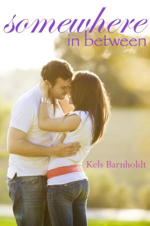 Cover of the book Somewhere In Between by Ted Fenne
