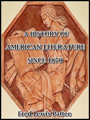 Book cover of A History of American Literature Since 1870