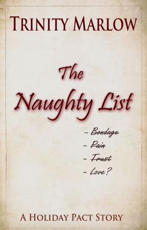 Cover of the book The Naughty List by Graham da Ponté