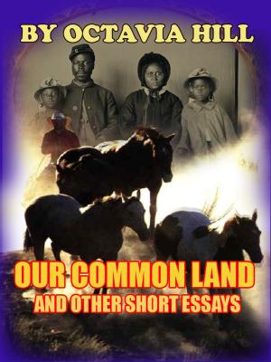Book cover of OUR COMMON LAND