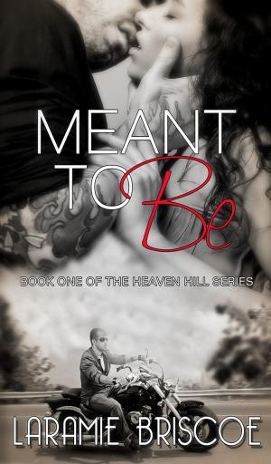 Cover of the book Meant To Be by Laramie Briscoe