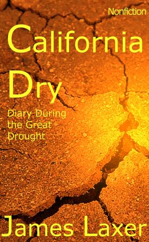 Cover of the book California Dry by Amber Jerome~Norrgard