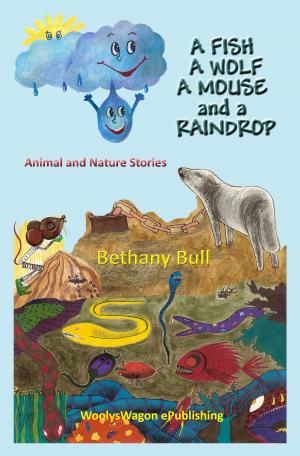 Cover of the book A Fish A Wolf A Mouse and A Raindrop by Judi Miller