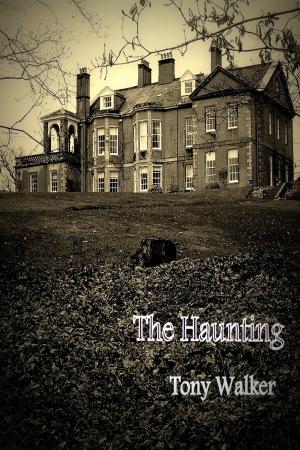 Cover of the book The Haunting by M.C.A. Hogarth