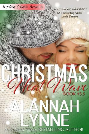 Book cover of A Christmas Heat Wave