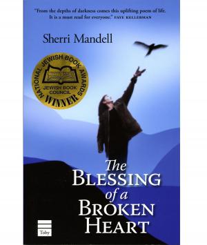 Cover of the book The Blessing of a Broken Heart by Riskin, Rabbi Shlomo