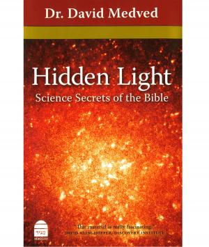 Cover of the book Hidden Light by Steinsaltz, Rabbi Adin Even-Israel